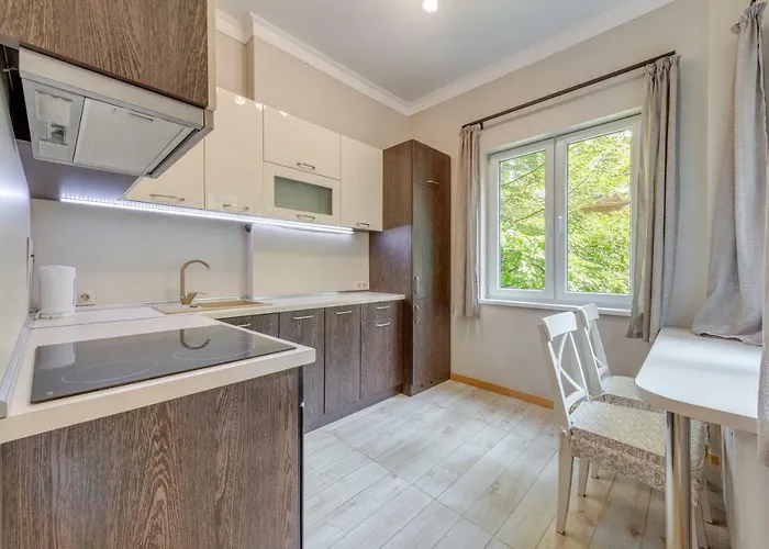 Central Apartment דירה סופיה